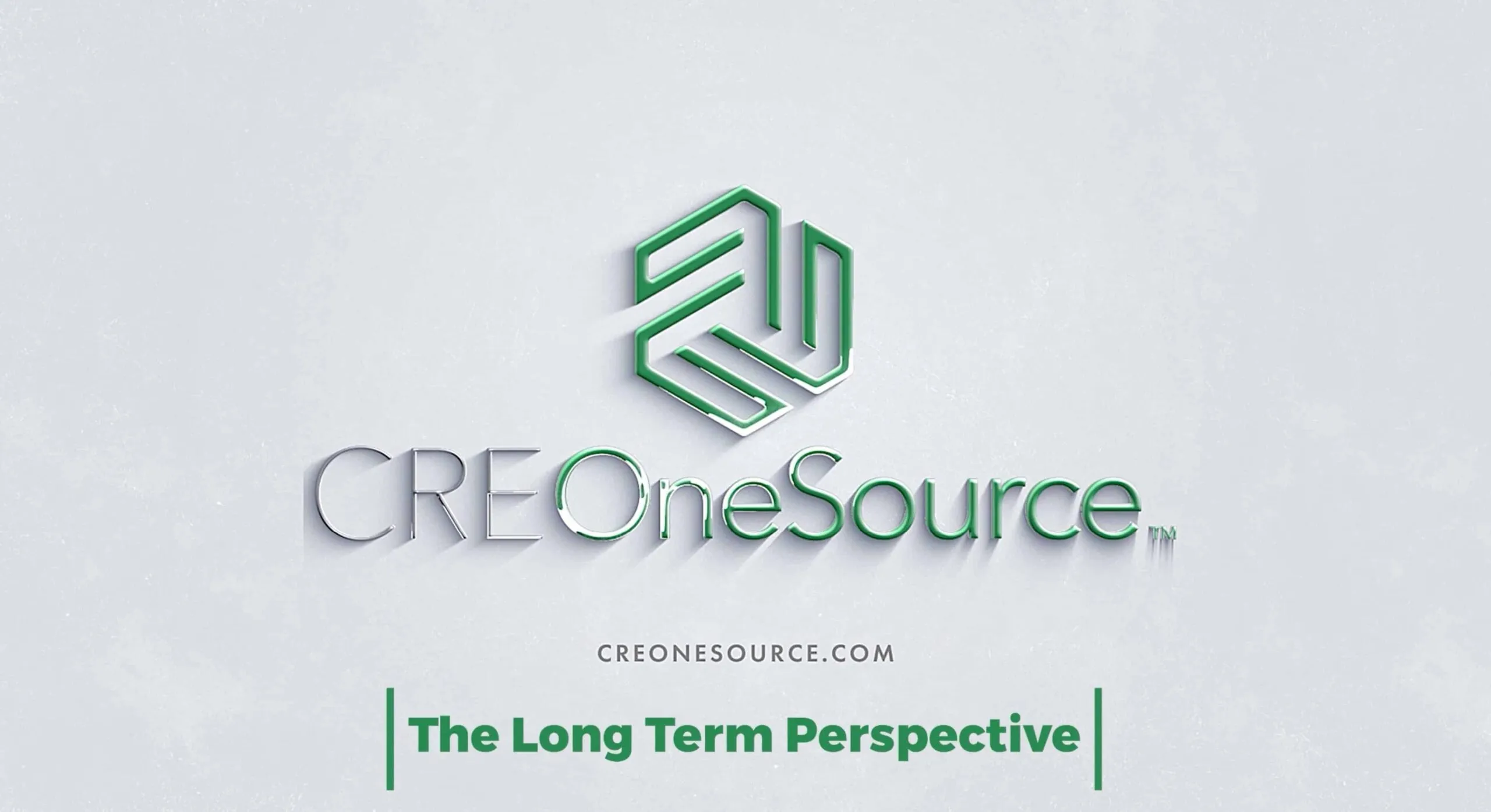 The Long Term Perspective